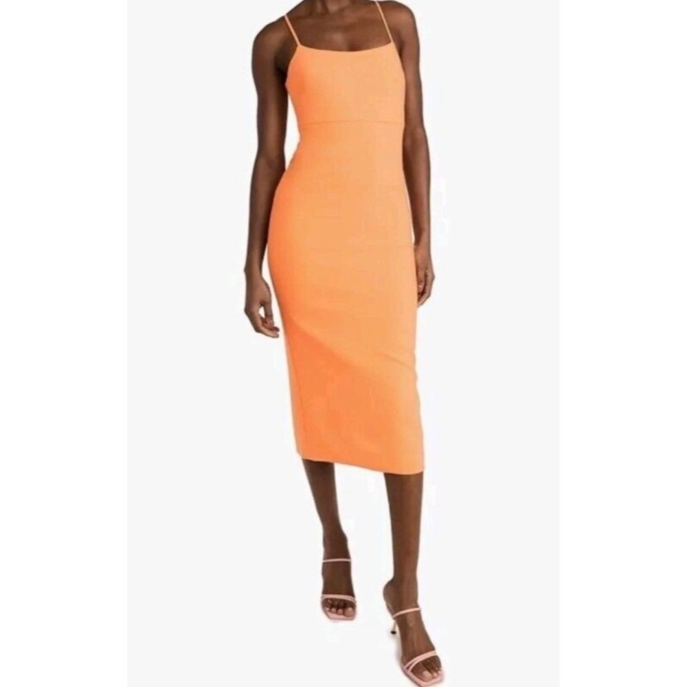LIKELY Birds of Paradise Dress - Size 6